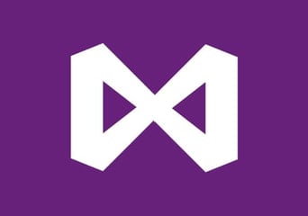 Visual Studio Professional 2019 EN Global MS Products