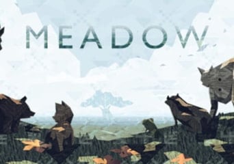 Meadow EN Global Steam