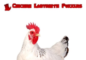 Chicken Labyrinth Puzzles EN Global Steam