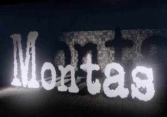 Montas EN Global Steam