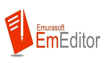 Emeditor Professional Text Editor EN/DE/JA/KO/RU/ZH Global Software License