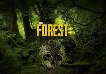 The Forest EN United States Steam Gift