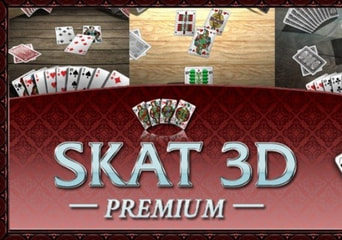 Skat 3D Premium Global Steam