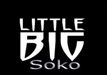 LittleBigSoko EN Global Steam