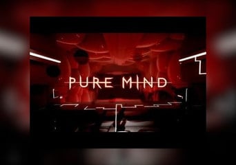 Pure Mind Global Steam