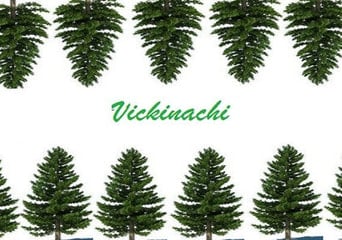 Vickinachi EN Global Steam