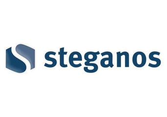Steganos Safe 22 1 Year 5 Dev Global Software License