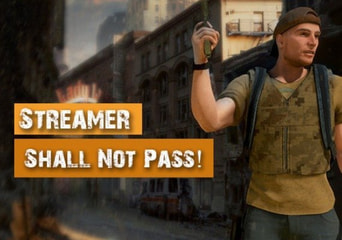 Streamer Shall Not Pass! (PC) Steam Klucz Global