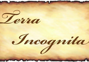 Terra Incognita Global Steam