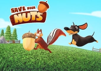 Save Your Nuts Global Steam