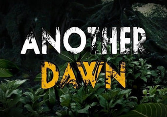 Another Dawn Turkey Xbox One/Series