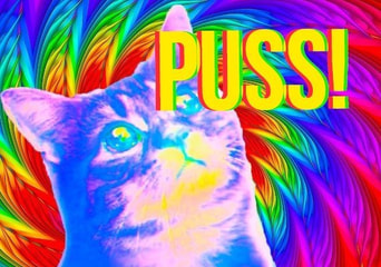 Puss! Global Steam