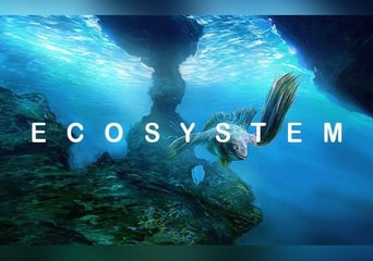 Ecosystem EN Global Steam Gift