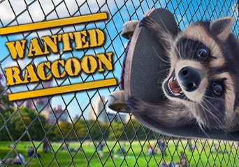 Wanted Raccoon (PC) Steam Klucz Global