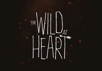 The Wild at Heart Argentina Xbox One/Series