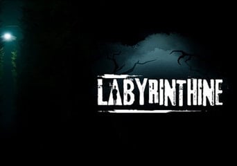 Labyrinthine EN/DE/FR/NL Global Steam