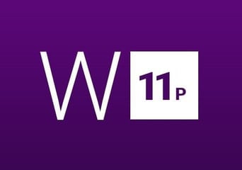 Windows 11 Professional EN Global MS Products