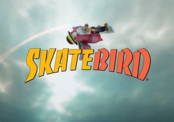 SkateBIRD EN Global Steam
