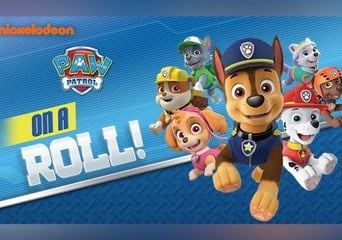 Paw Patrol: On A Roll! Global Steam