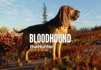 theHunter: Call of the Wild - Bloodhound DLC Global Steam