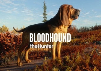 theHunter: Call of the Wild - Bloodhound DLC EU Steam