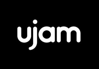 UJAM Virtual Bassist Rowdy 2 Voucher Global Software License