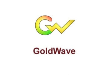 GoldWave 6 EN Global Software License