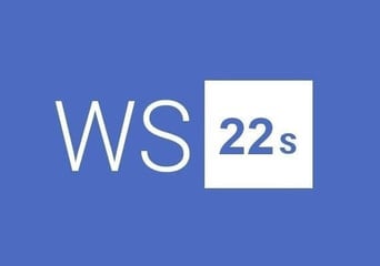 Windows Server 2022 Standard 2 Users Global MS Products