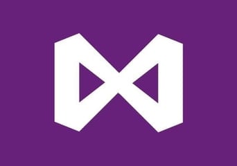 Visual Studio Professional 2022 EN Global MS Products