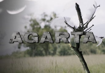 Agarta EN/TR Global Steam