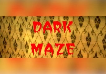 Dark Maze EN Global Steam