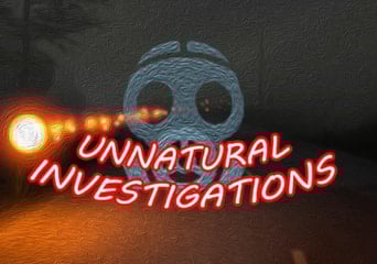 Unnatural Investigations EN Global Steam