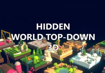 Hidden World: Top-Down 3D Global Steam