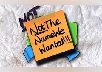 NotTheNameWeWanted EN Global Steam