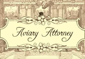 Aviary Attorney EN Global Steam