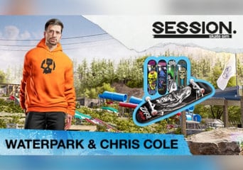 Session: Skate Sim - Waterpark & Chris Cole DLC EN Global Steam