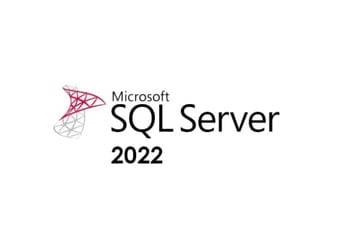 MS SQL Server 2022 EN Global MS Products