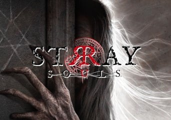 Stray Souls Global Steam