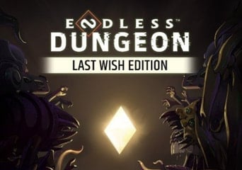 Endless Dungeon Last Wish Edition EU Steam