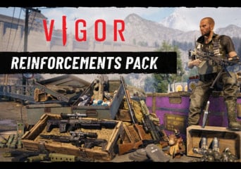 Vigor - Reinforcements Pack EN/DE/FR/IT/CS/PT/RU/ES Global Steam