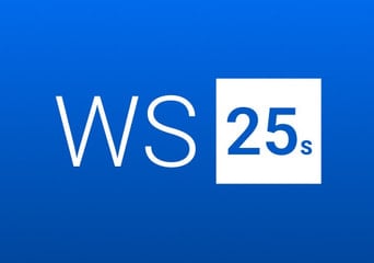 Windows Server 2025 Standard EN Global MS Products