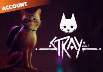 Stray (PC) Steam Account Global