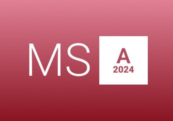 MS Access 2024 Global MS Products