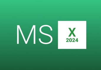 MS Excel 2024 Global MS Products