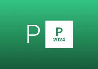 Project Professional 2024 EN Global MS Products