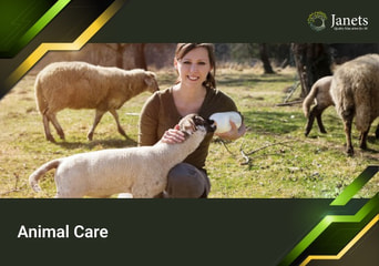 Animal Care - Janets Course Global Official website