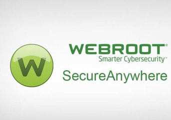 Webroot Secure Anywhere Antivirus 3 Months 1 Dev EN Global Software License