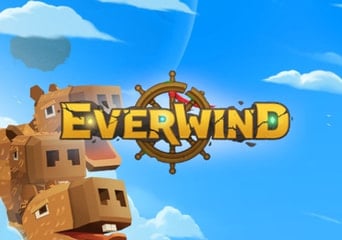 Everwind Capybara Edition (PC) Steam Klucz Global