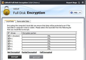 Gilisoft Full Disk Encryption EN Global Software License