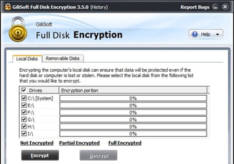 Gilisoft Full Disk Encryption Global Software License